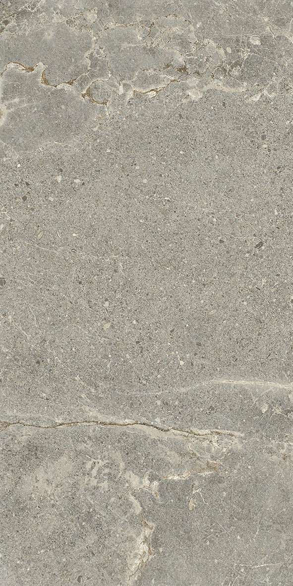 ARDESIA ASH BROWN HONED 300X600 K5-P749 TILES