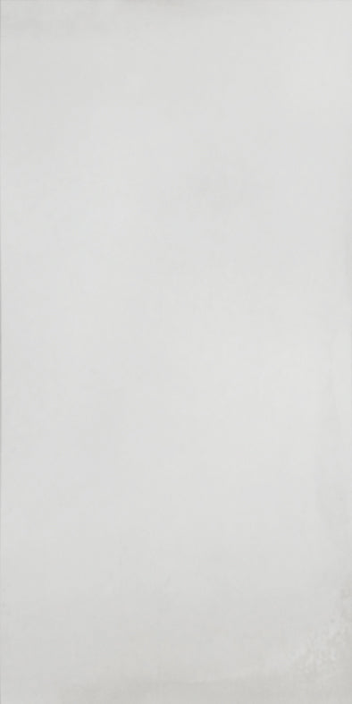 DALLAS SILVER MATT 300X600 K26-P624