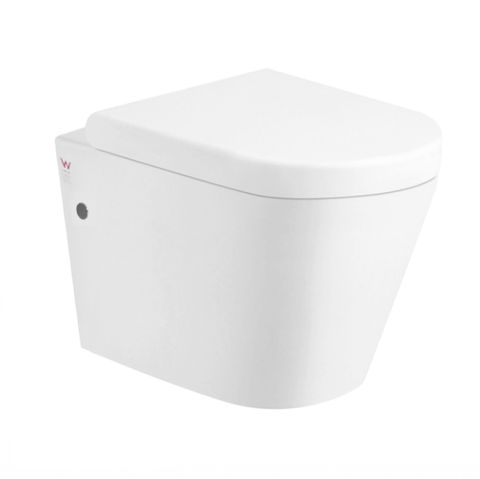 Alzano Wall Hung Rimless Pan