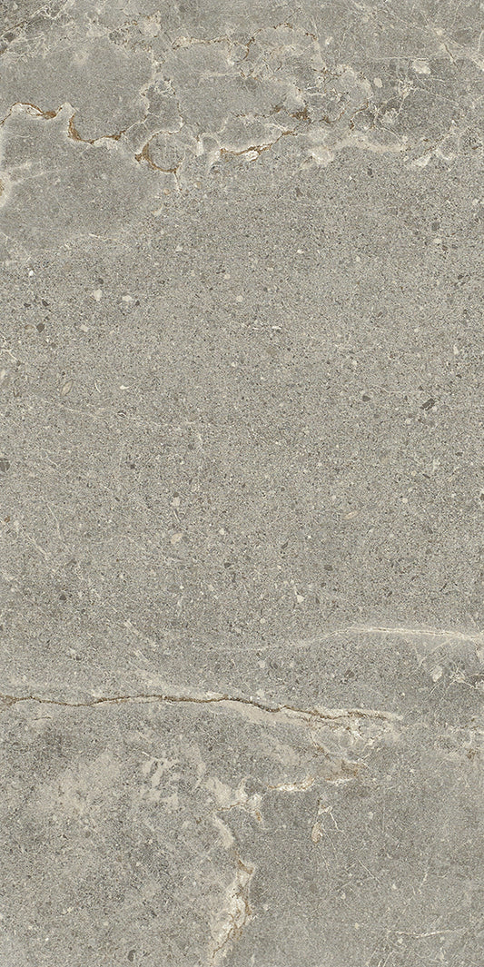 ARDESIA ASH BROWN HONED 300X600 K5-P749 TILES