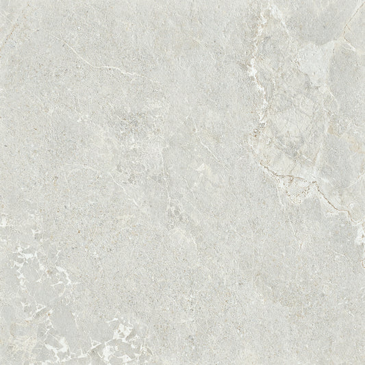 ARDESIA SILVER EXTERNAL P5 600X600 K13-P749 TILES