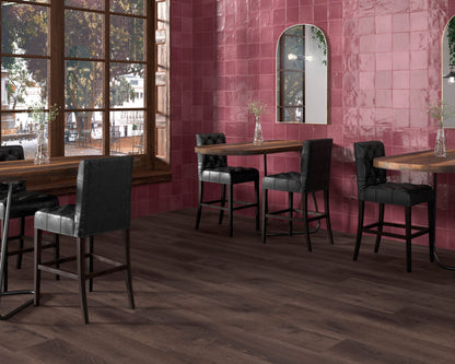 TABARCA GRANATE 75X230  GLOSS  Z13-P11 TILES