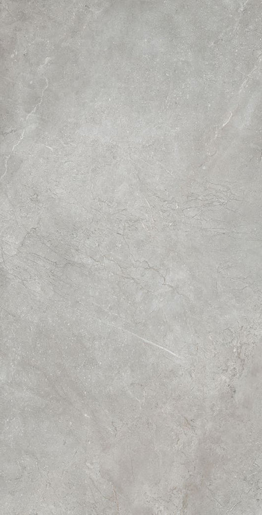 CHISWICK GREY MATT P4 300X600 K7-P698 TILES