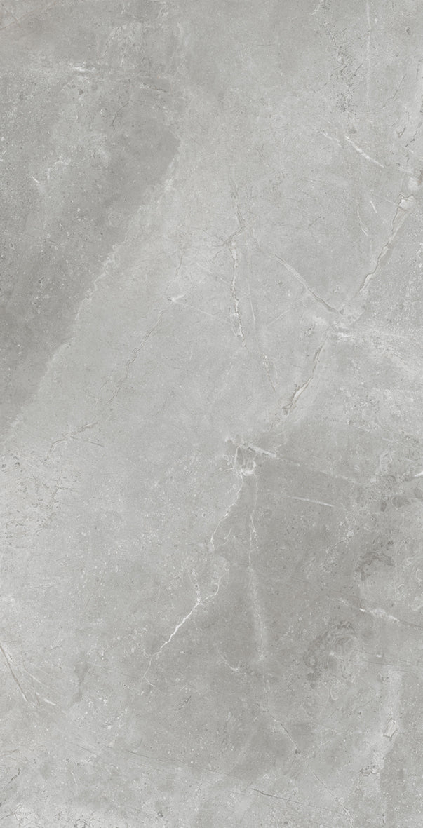 CHISWICK GREY MATT P4 600X1200 K11-P699 TILES