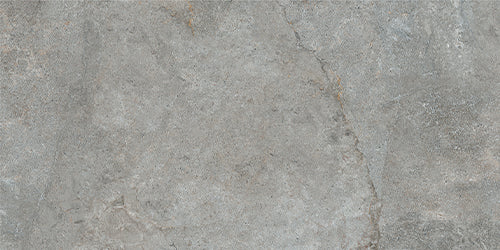 300X600 ANDES GREY MATT TILES D6-P159